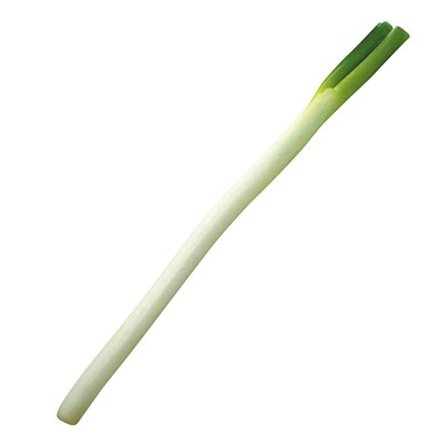 長ねぎ
