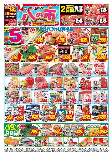 チラシ画像 2966-0