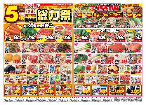 チラシ画像 2976-0