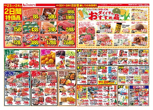 チラシ画像 2976-1