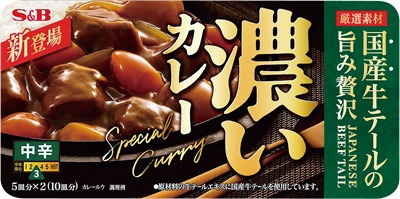 濃いカレー 中辛