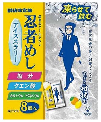 忍者めしアイススラリー すっきり柑橘