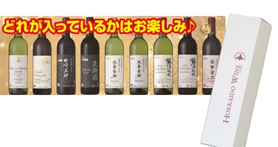 お宝探しセット