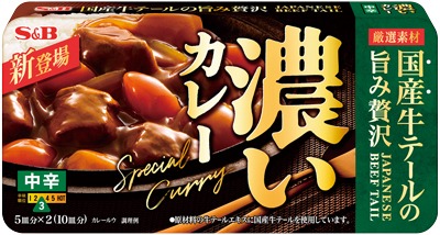 濃いカレー 中辛