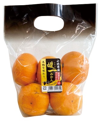 小林果園の媛一みかん（2Sサイズ）