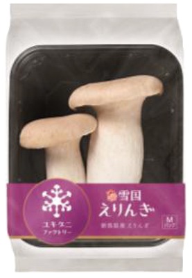 雪国エリンギ