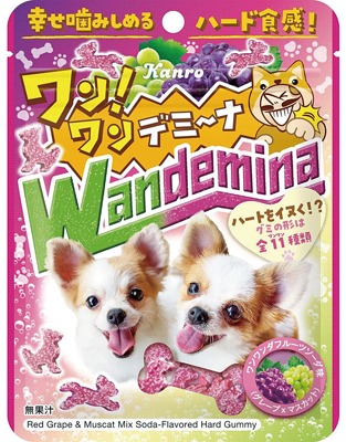 ワンワンデミーナグミ