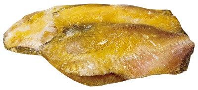 まとうだい西京漬