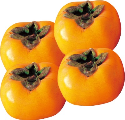 庄内柿(Mサイズ)