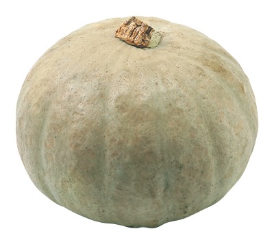 雪化粧かぼちゃ