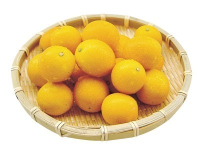 きんかん(たまたま)