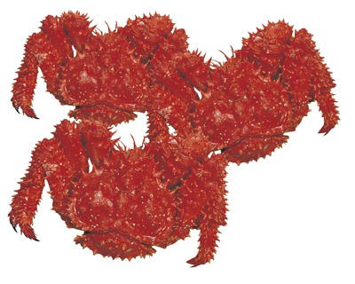 ゆで花咲がに(冷凍)