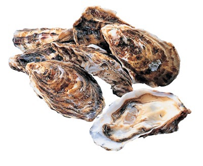 一年殻付かき貝