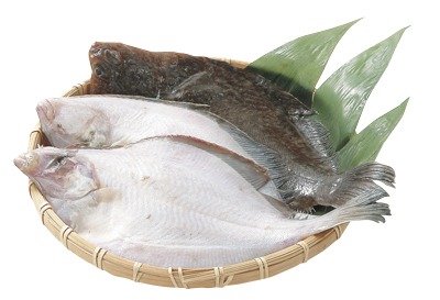 浅羽がれい