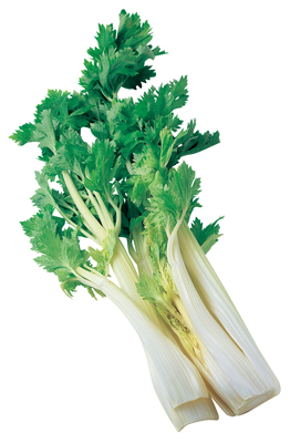 セロリ