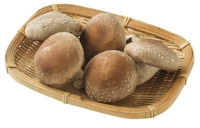 生しいたけ(極)〈菌床〉