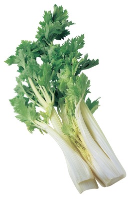 セロリ