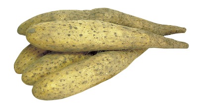 新物土付長いも(折れ・傷あり)