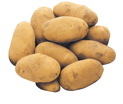 大正松浦農場プチメークイン