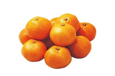 マルテルみかん