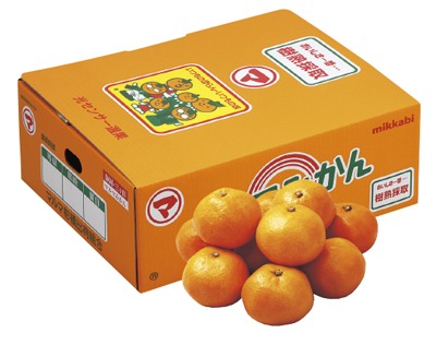 三ヶ日みかん(秀品)