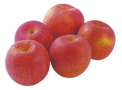 早生ふじりんご 小箱