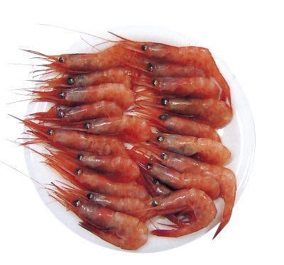 刺身用生甘えび