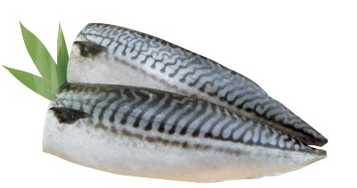 魚醤さばフィレ