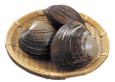 刺身用貝ほっき