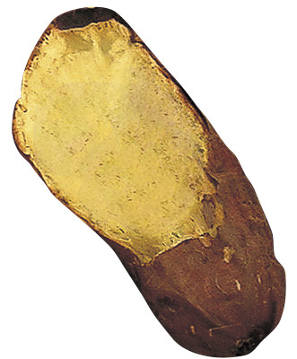 紅はるか焼き芋