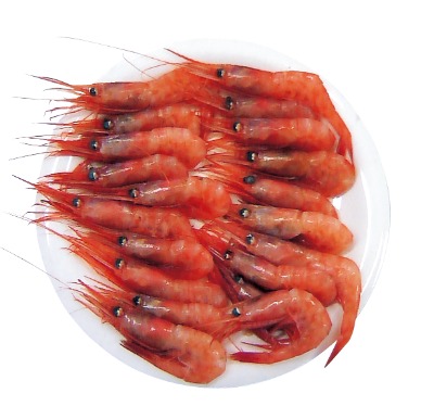 刺身用甘えび(解凍)