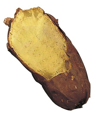 シルクスイート