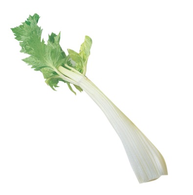 セロリ