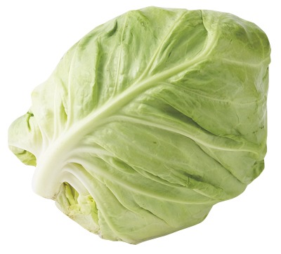 春キャベツ