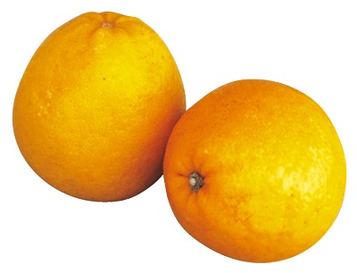 宇和ゴールド大玉