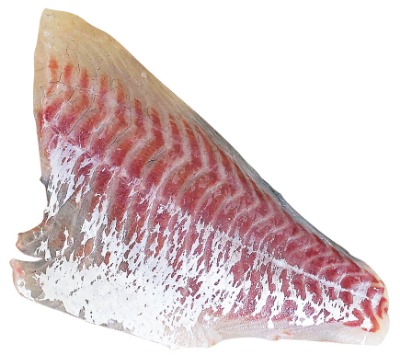 刺身用真だい(養殖)