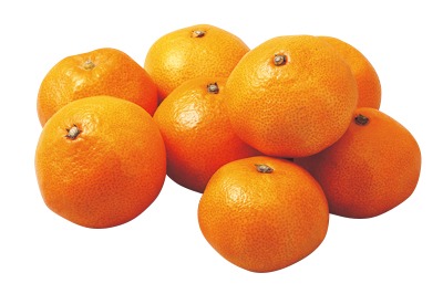 産直マルテルみかん