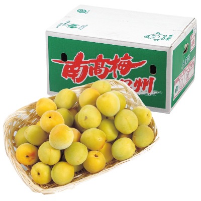 南高梅