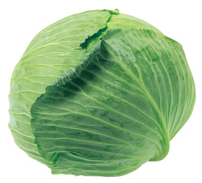 大球キャベツ