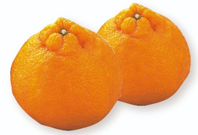 大将季デコポン