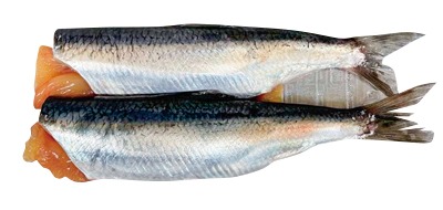 生にしん(子持ち)