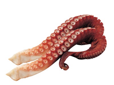 刺身用たこ足