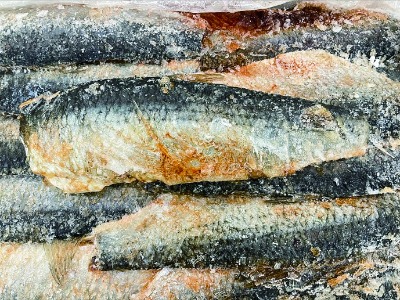 にしん昆布醤油漬