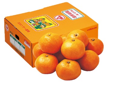 産直！マルマ三ヶ日みかん（青秀） Mサイズ