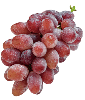 輸入ぶどう 赤
