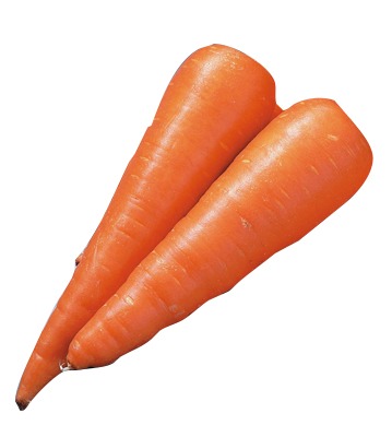 にんじん