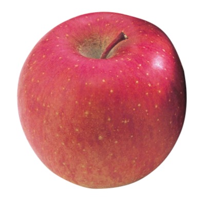 サンふじりんご