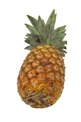 ゴールデンパイン