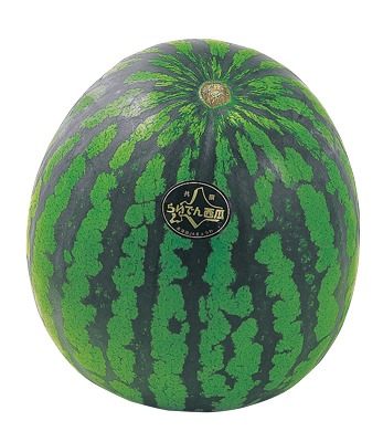 らいでんすいか