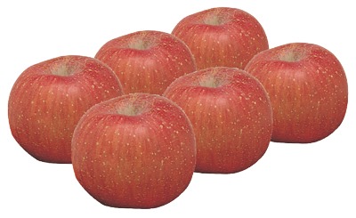 早生ふじりんご